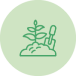 Picto plantations
